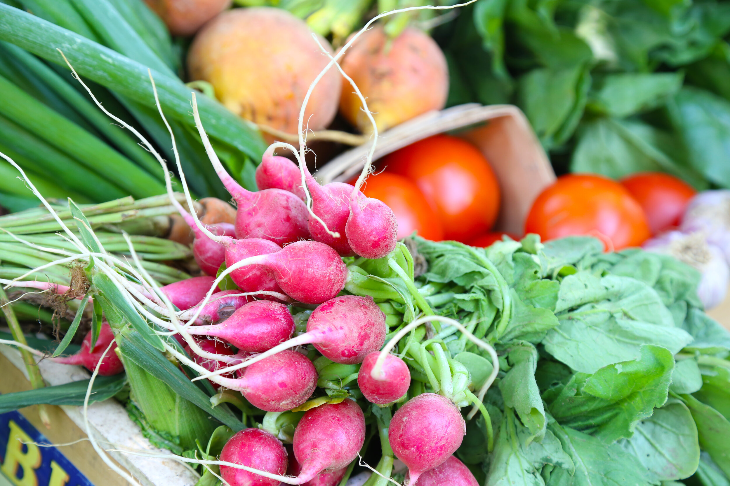 raddishes+tomatoes+onions+STOCK Freshly harvested radishes with vibrant pink skins and leafy greens, surrounded by a variety of vegetables including tomatoes and green onions at a farmer's market.